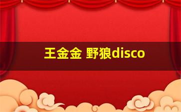 王金金 野狼disco